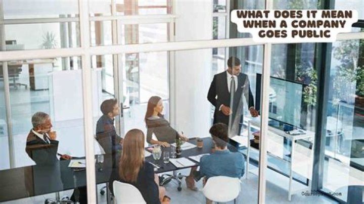 What does it mean when a company goes public?