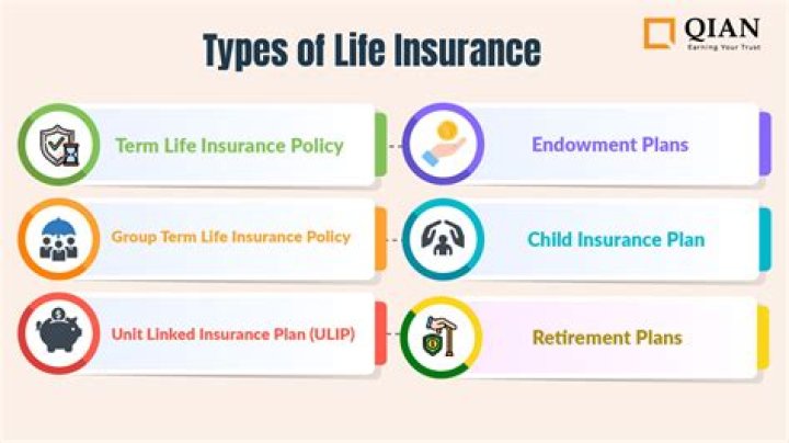 What does it mean when a life insurance policy is assigned?