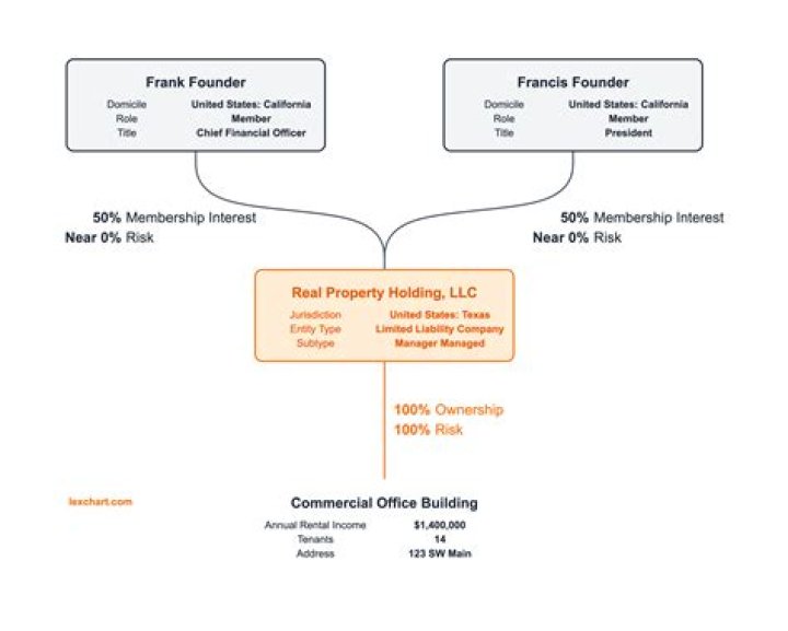 What does it mean when a LLC has only one owner?