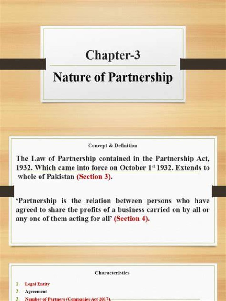 What does nature of partnership mean?