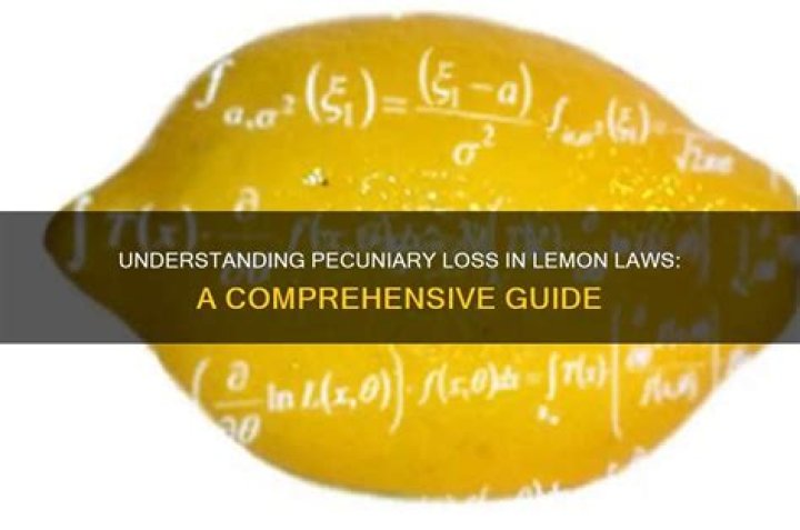 What does pecuniary loss mean?