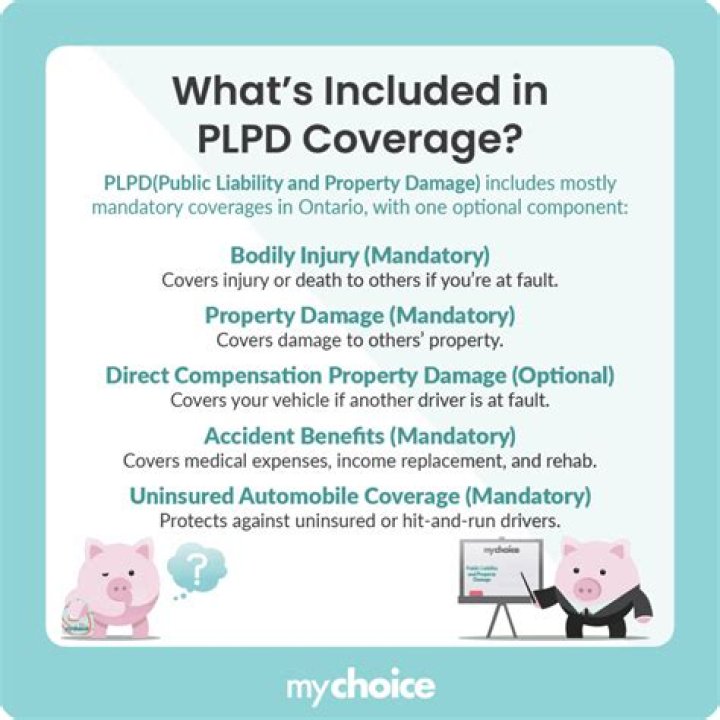 What does PLPD mean in insurance?