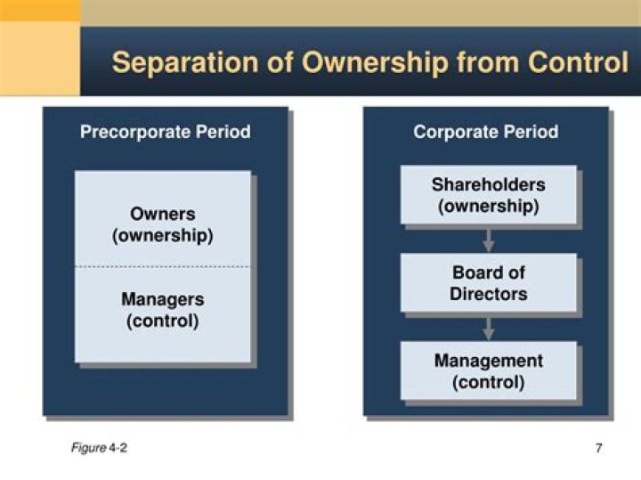 What does separation of ownership from control mean?