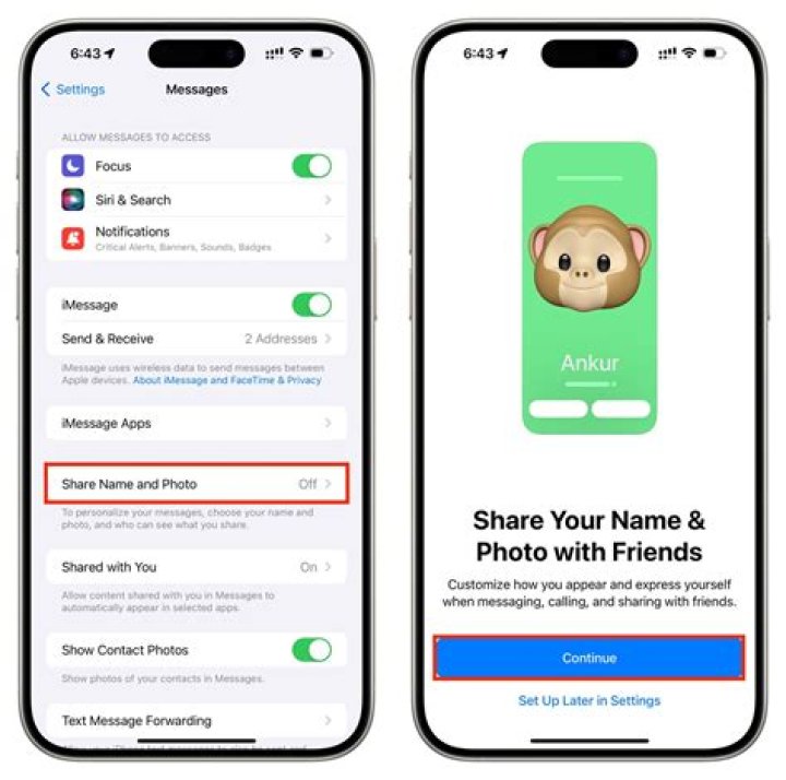 What does share holder means?