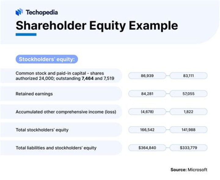 What Does shareholder equity indicate?