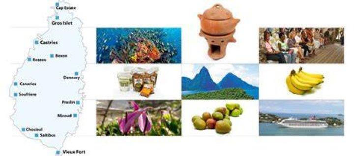 What does St Lucia export?