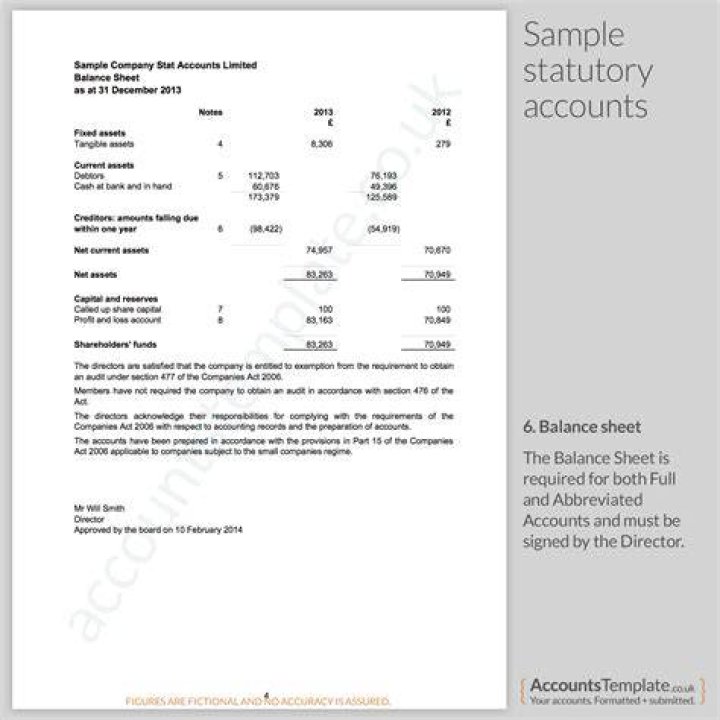 What does statutory financial statements mean?