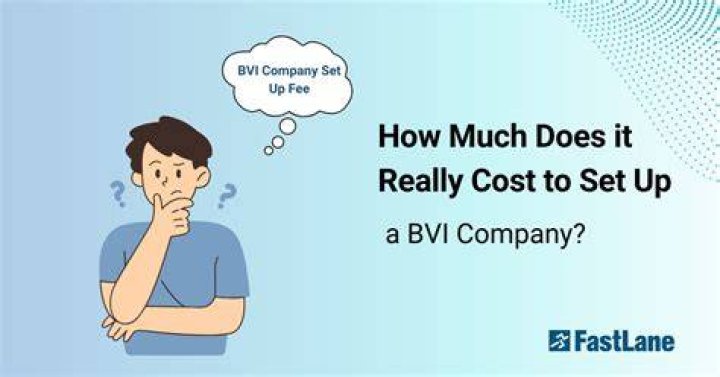 What does the BVI export?