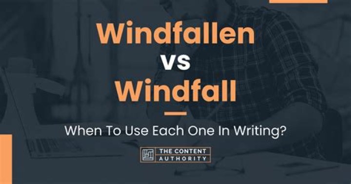 What does the expression windfall mean?