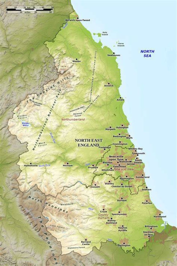 What does the Northeast of England export?