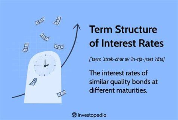 What does the term structure of interest rates indicate?