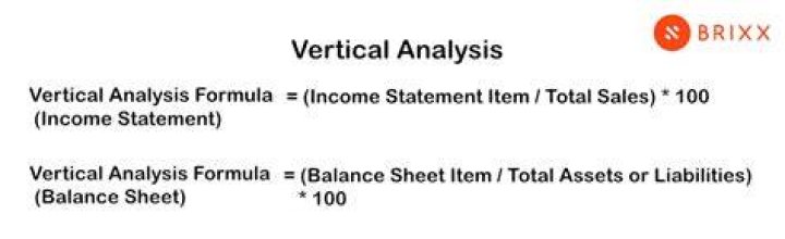 What does the vertical analysis tell you?