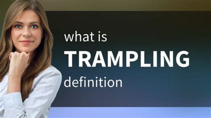 What does tramping mean in slang?