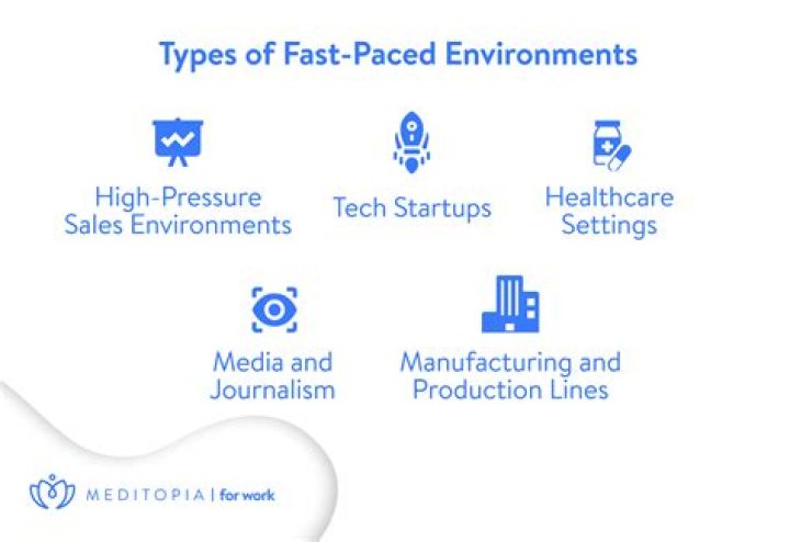 What does working in a fast-paced environment teach you?