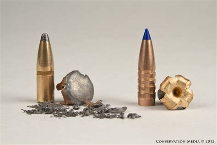 What element is used in bullets?