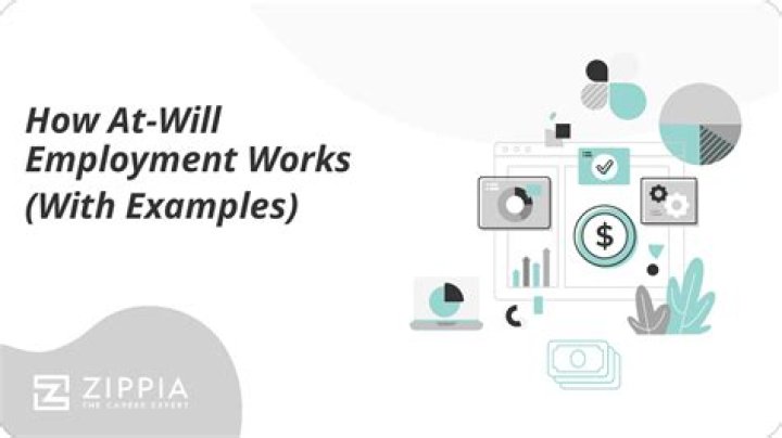 What exactly does at will employment mean?