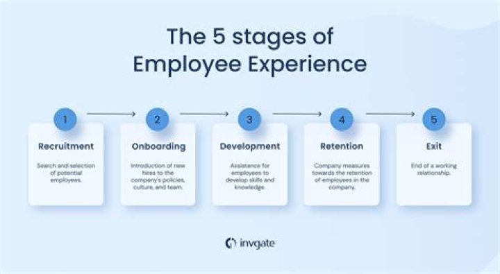What experiences do you have working within a team?