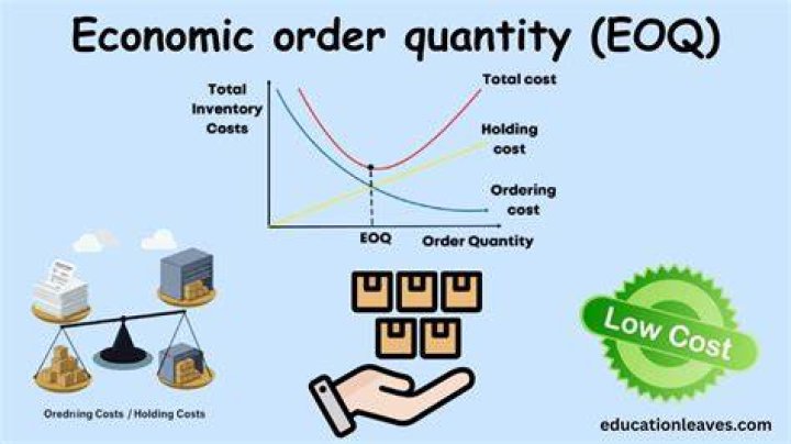 What factors shall be considered in determining the size of an economic order?