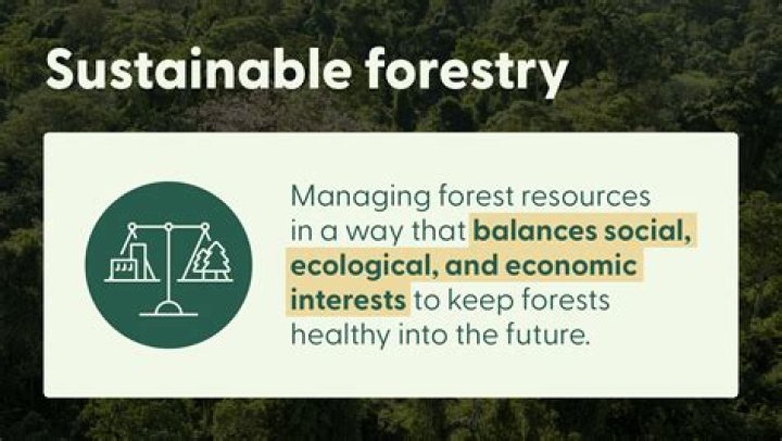 What field is forestry in?