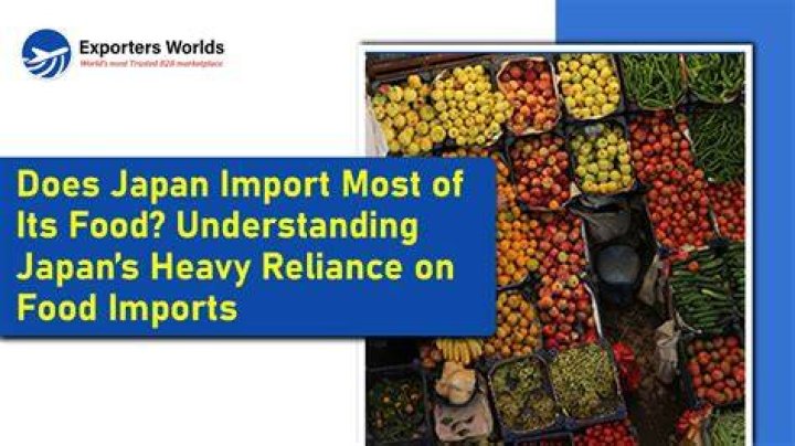 What food does El Salvador import?