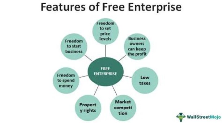 What freedoms does a free enterprise system allow for consumers and producers?