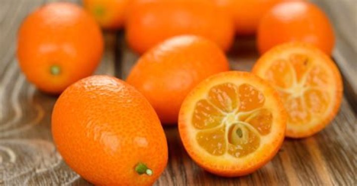 What fruit is the kumquat related to?