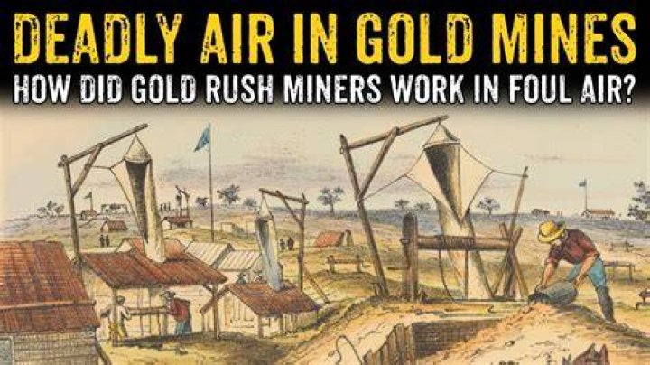 What happened to miners after the gold rush?