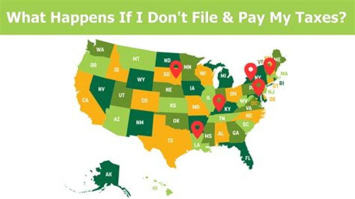 What happens if I stop paying taxes?