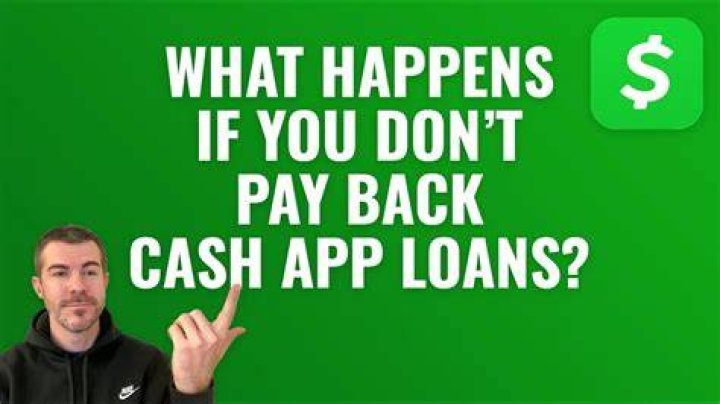 What happens if you are unable to pay back your loan?