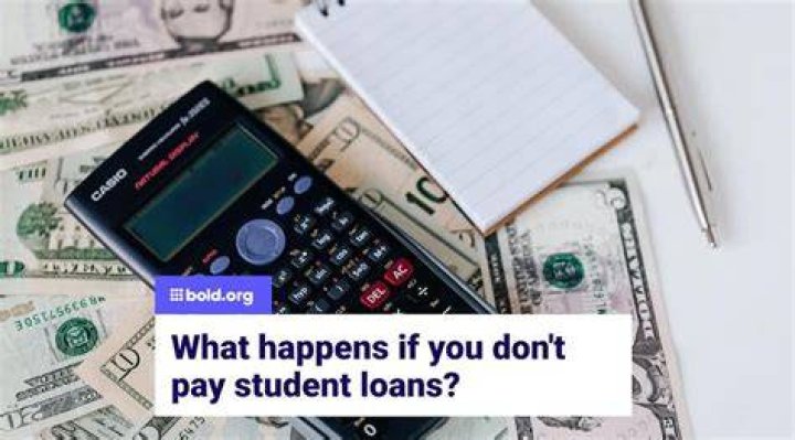 What happens if you lie on student finance?