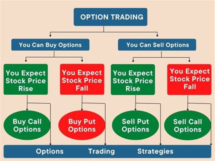 What happens to options if a stock stops trading?