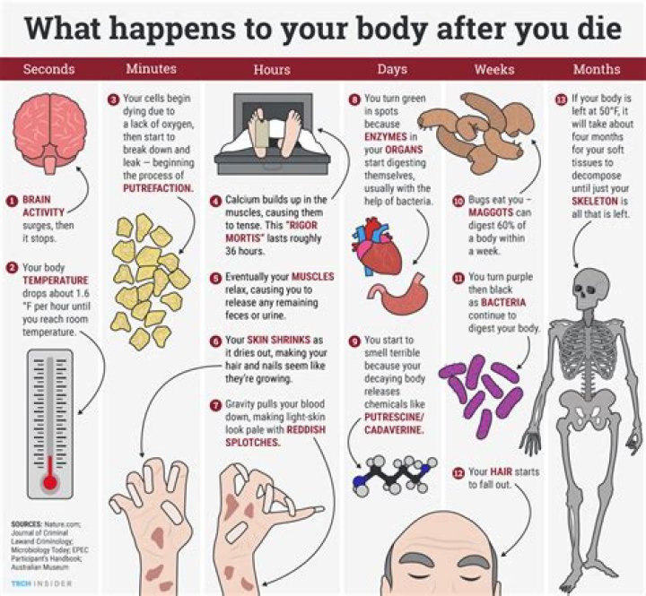 What happens to PERS if I die?