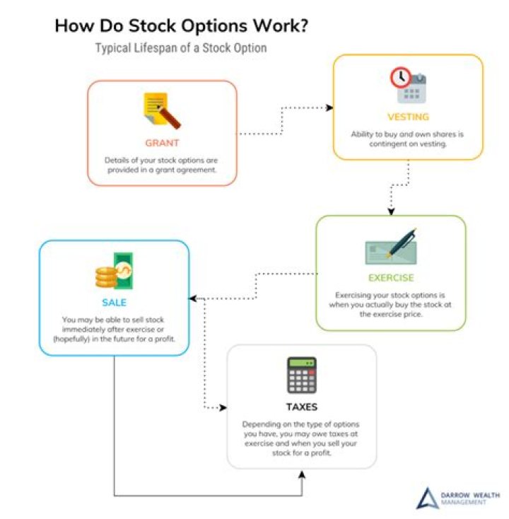 What happens to stock options when an employee is terminated?