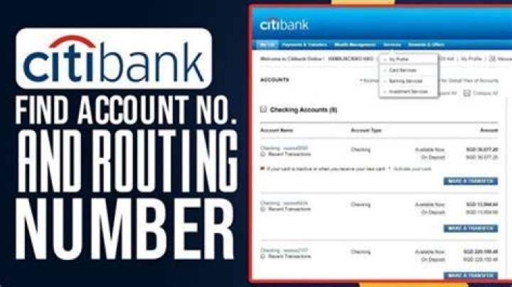 What happens when Citibank sues you?