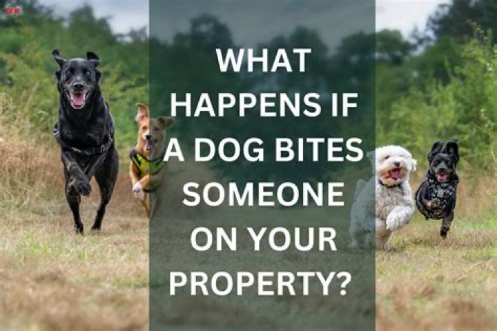What happens when you hit someone on private property?