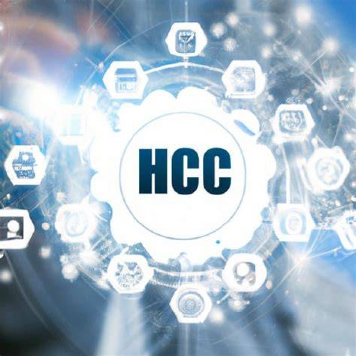 What HCL company do?