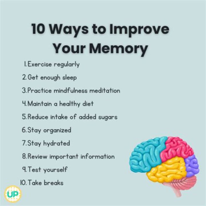 What helps you remember things in your brain?