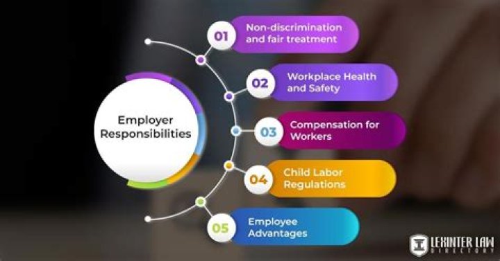 What information can previous employers give?