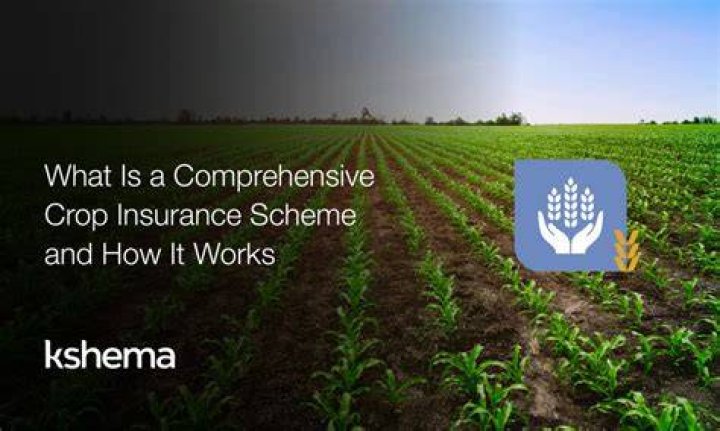 What insurance covers crop losses?