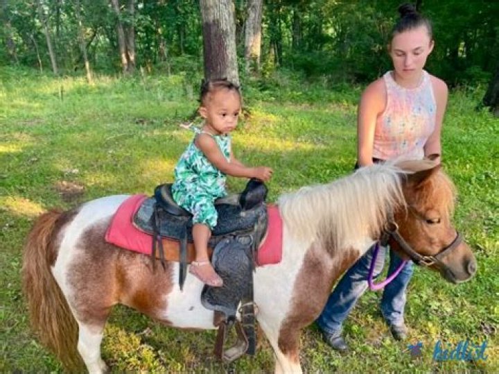 What insurance do you need for Pony Parties?