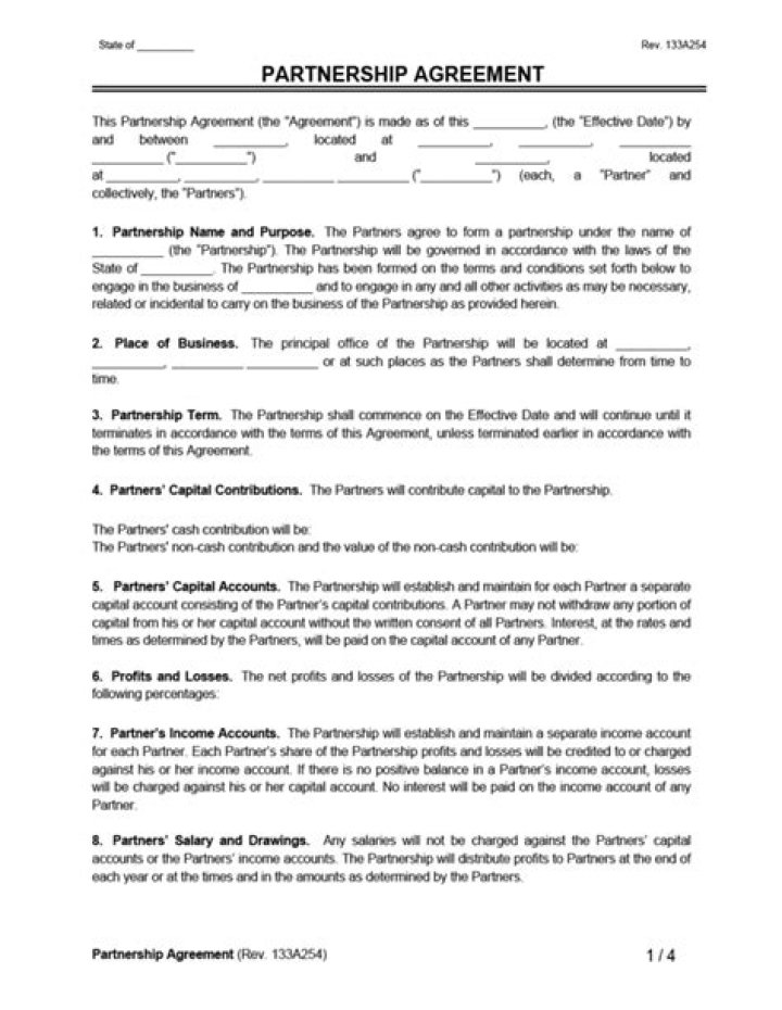 What is a 51/49 Business Partnership?