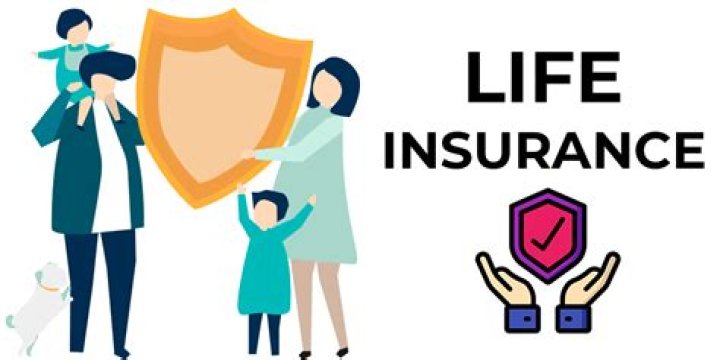 What is a basic life insurance?