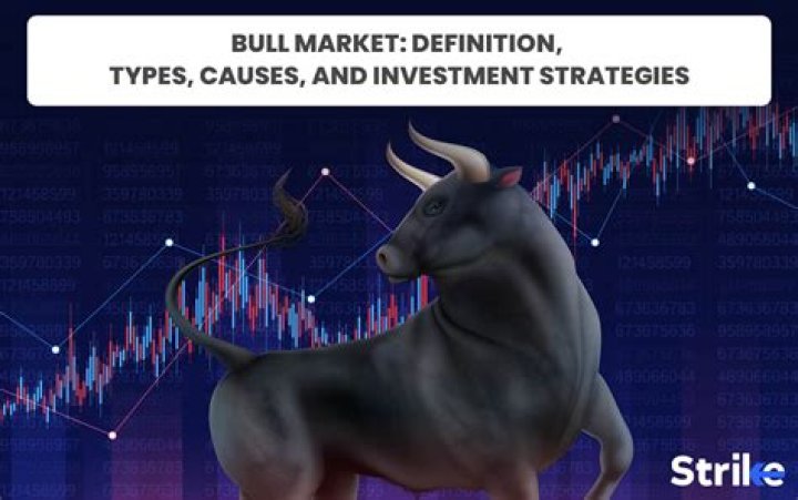 What is a bull market and what causes it?