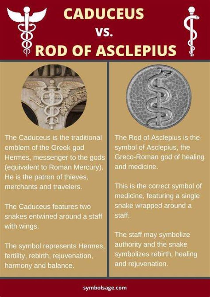 What is a caduceus group?