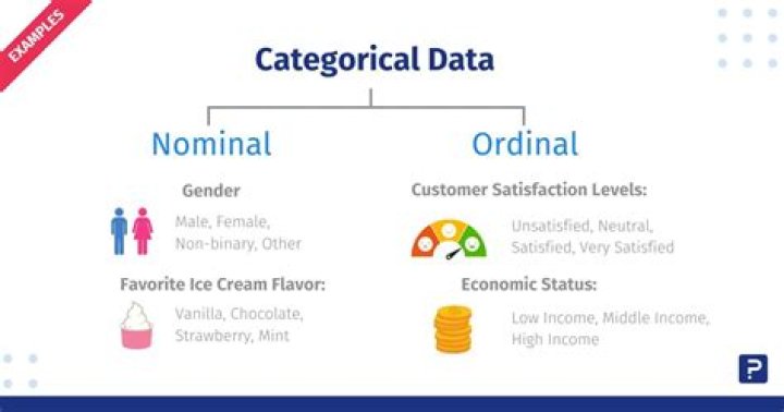 What is a category question?