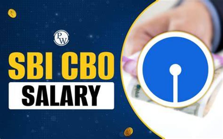 What is a CBO in a company?