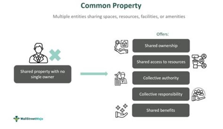 What is a common property title?