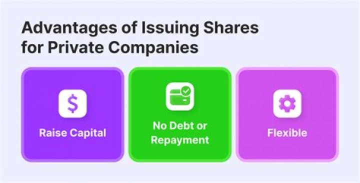 What is a company called that offers shares of stock for sale to the public?