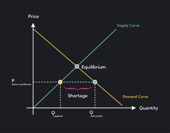 What is a correctly priced stock?