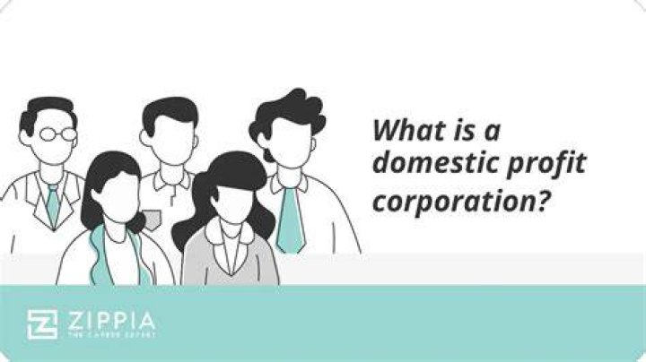What is a domestic profit corp?